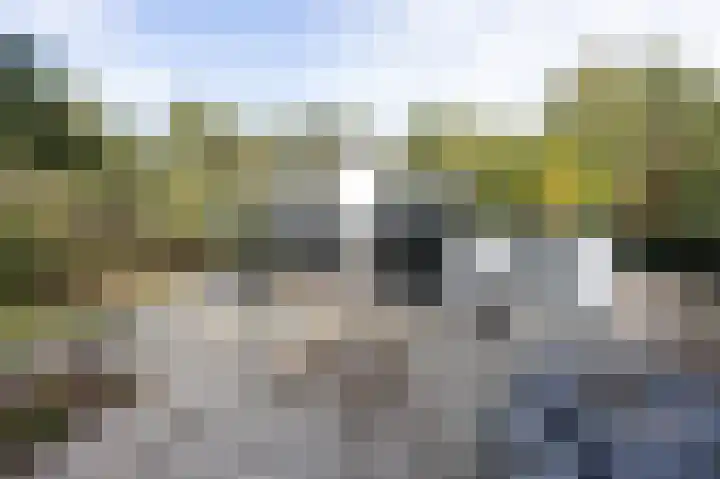 Hogestraat 3 Bosschenhoofd thumbnail 48