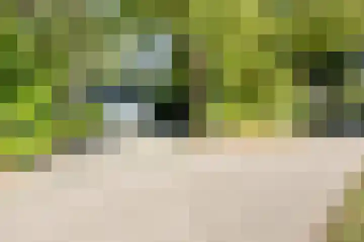 Hogestraat 3 Bosschenhoofd thumbnail 5