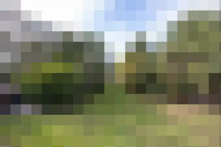 Hogestraat 3 Bosschenhoofd thumbnail 52