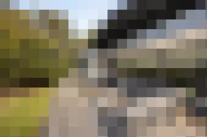 Hogestraat 3 Bosschenhoofd thumbnail 53