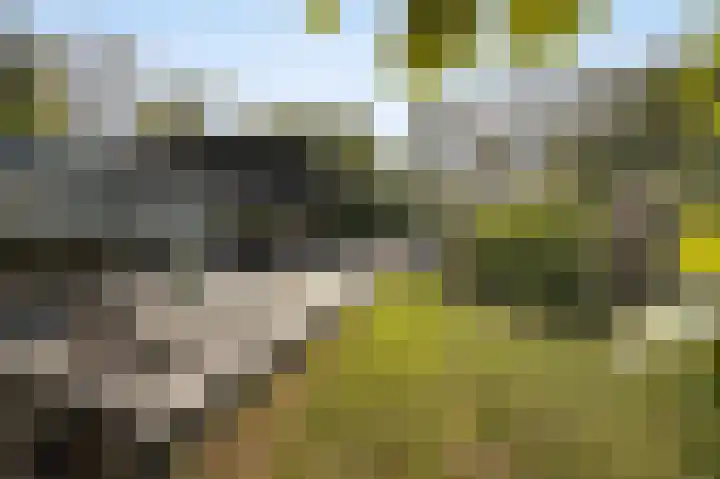 Hogestraat 3 Bosschenhoofd thumbnail 56