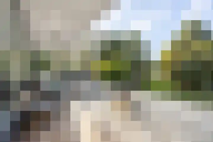 Hogestraat 3 Bosschenhoofd thumbnail 58