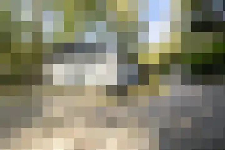 Hogestraat 3 Bosschenhoofd thumbnail 6