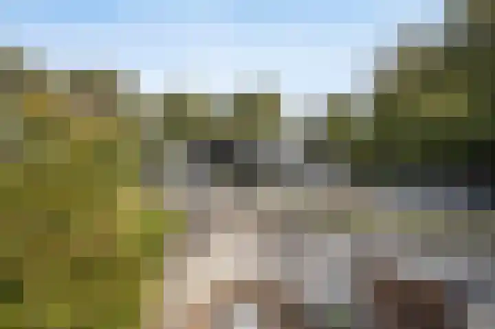 Hogestraat 3 Bosschenhoofd thumbnail 61