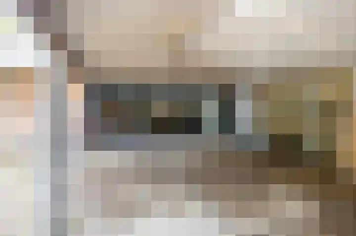 Hogestraat 3 Bosschenhoofd thumbnail 63