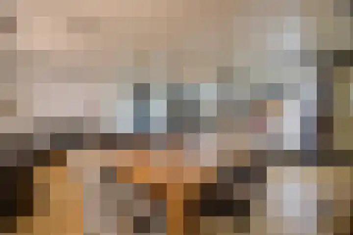Hogestraat 3 Bosschenhoofd thumbnail 64