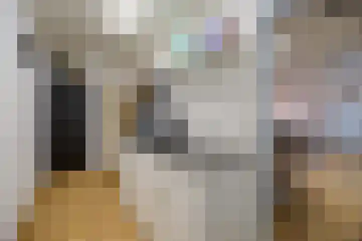 Hogestraat 3 Bosschenhoofd thumbnail 66
