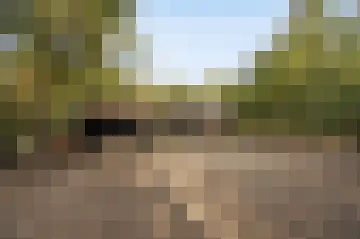 Hogestraat 3 Bosschenhoofd thumbnail 69