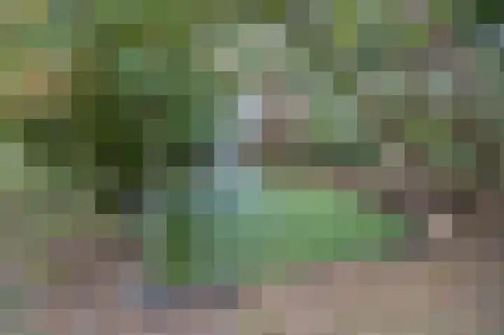 Hogestraat 3 Bosschenhoofd thumbnail 72