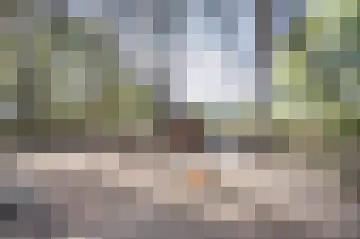 Hogestraat 3 Bosschenhoofd thumbnail 74
