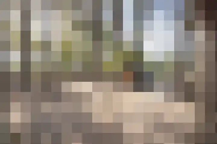 Hogestraat 3 Bosschenhoofd thumbnail 76