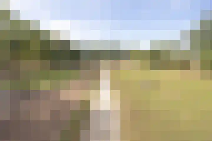 Hogestraat 3 Bosschenhoofd thumbnail 78