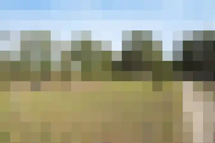 Hogestraat 3 Bosschenhoofd thumbnail 79