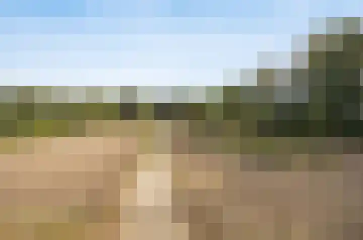 Hogestraat 3 Bosschenhoofd thumbnail 81