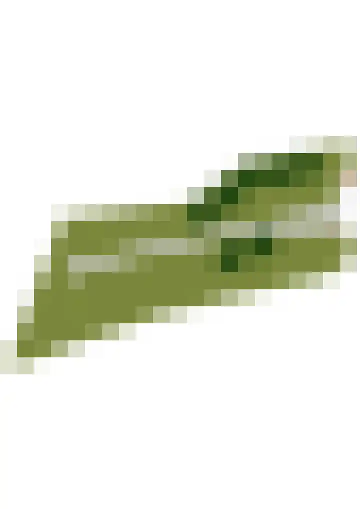 Hogestraat 3 Bosschenhoofd thumbnail 90