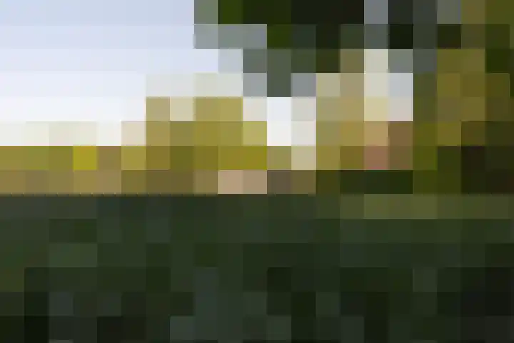 Hogestraat 3 Hall thumbnail 12