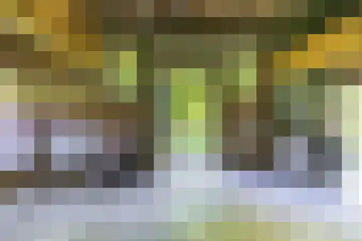 Hogestraat 3 Hall thumbnail 14
