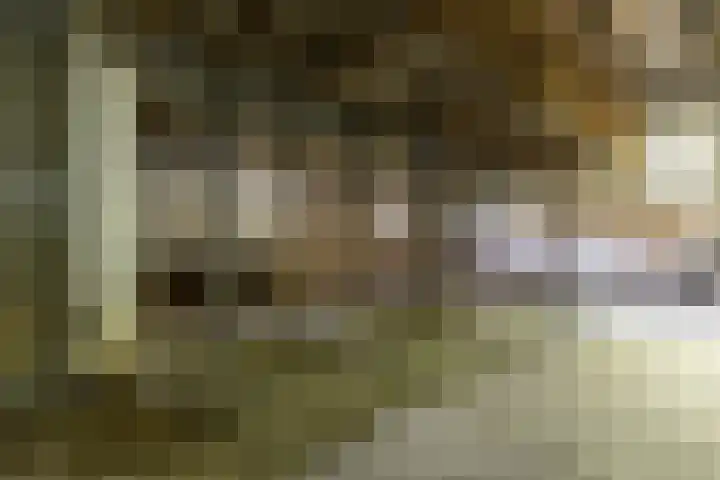 Hogestraat 3 Hall thumbnail 15