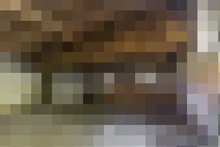 Hogestraat 3 Hall thumbnail 17