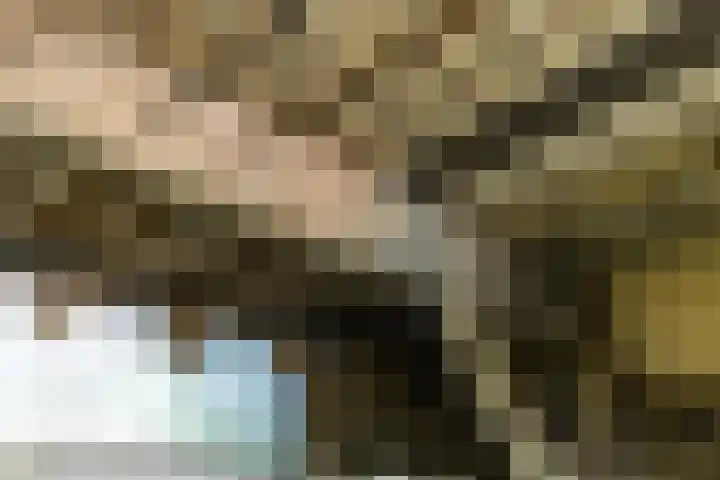Hogestraat 3 Hall thumbnail 19