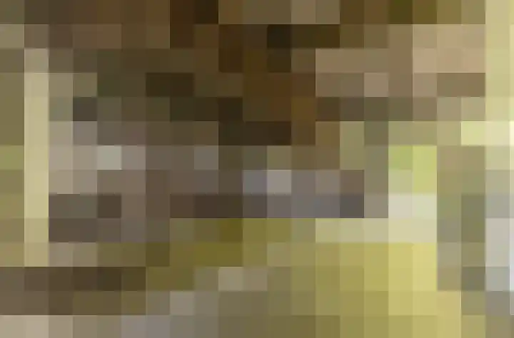 Hogestraat 3 Hall thumbnail 20