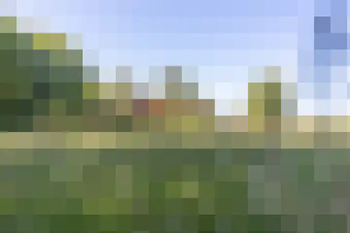 Hogestraat 3 Hall thumbnail 32