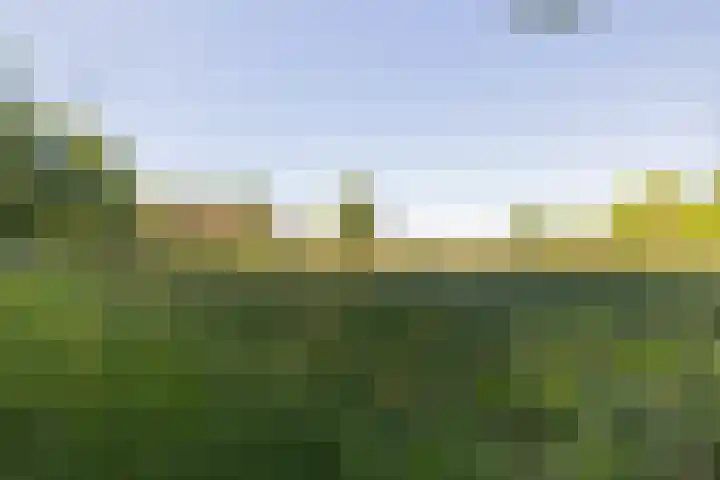 Hogestraat 3 Hall thumbnail 4