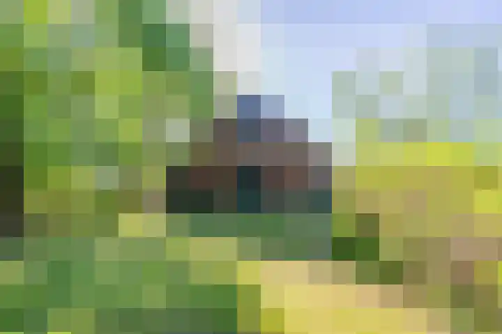 Hogestraat 3 Hall thumbnail 5