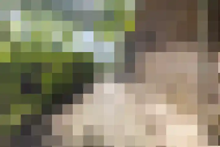 Hogestraat 3 Hall thumbnail 6