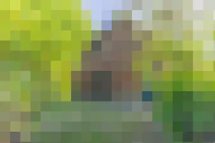 Hogestraat 3 Hall thumbnail 8