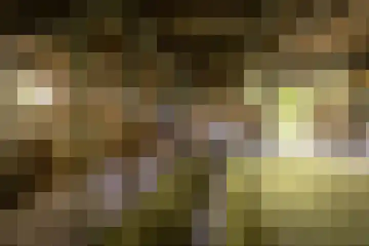 Hogestraat 3 Hall thumbnail 9