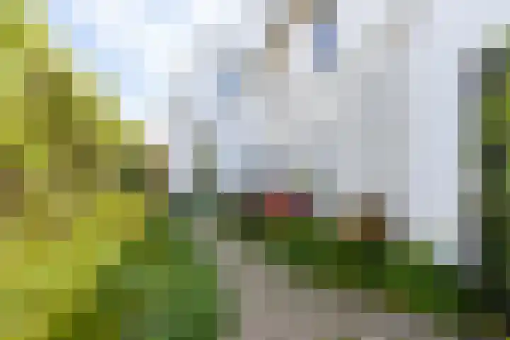 Hogestraat 34 Heerewaarden thumbnail 4