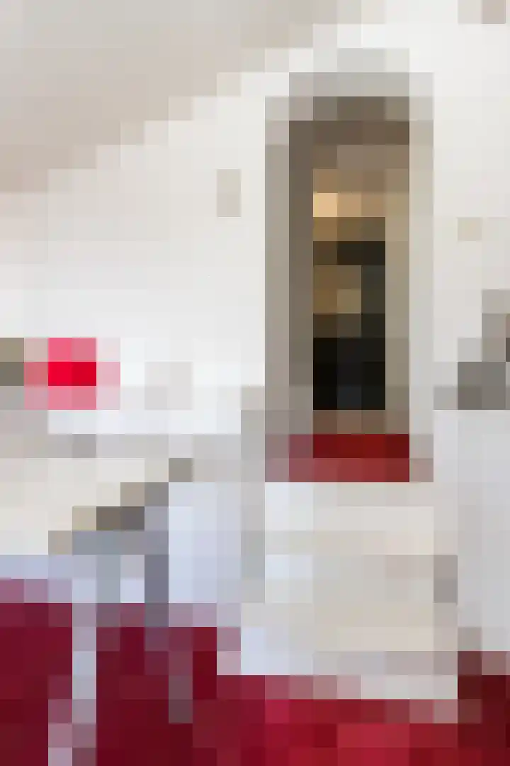Hogestraat 34 Heerewaarden thumbnail 46