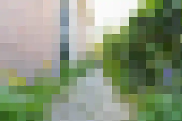 Hogestraat 34 Heerewaarden thumbnail 5