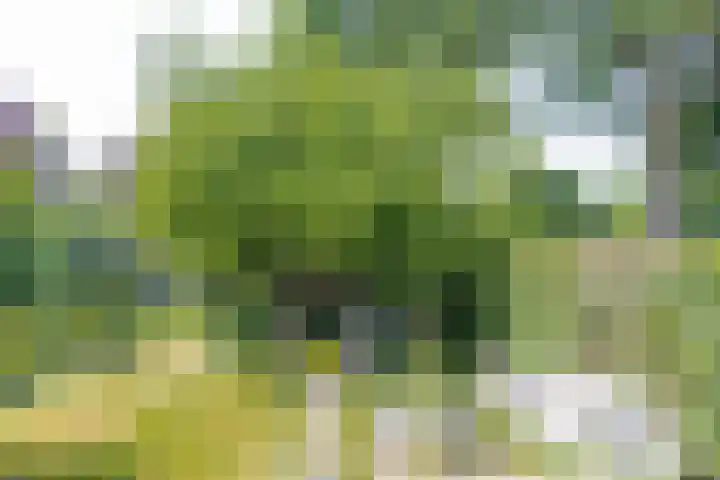 Hogestraat 34 Heerewaarden thumbnail 57