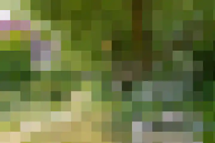 Hogestraat 34 Heerewaarden thumbnail 58