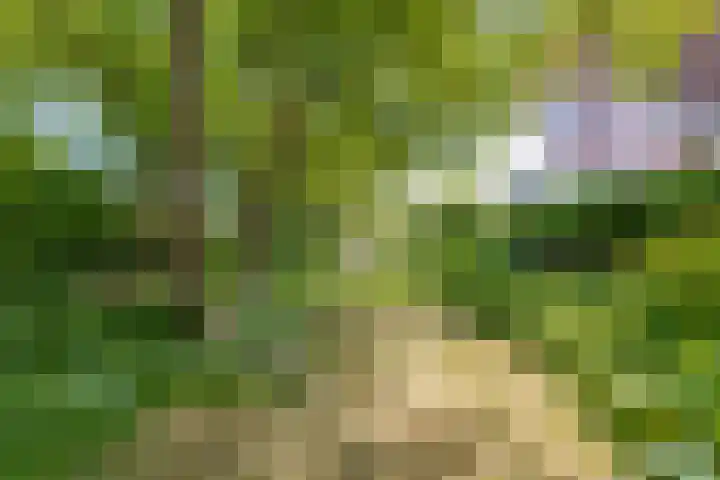 Hogestraat 34 Heerewaarden thumbnail 59