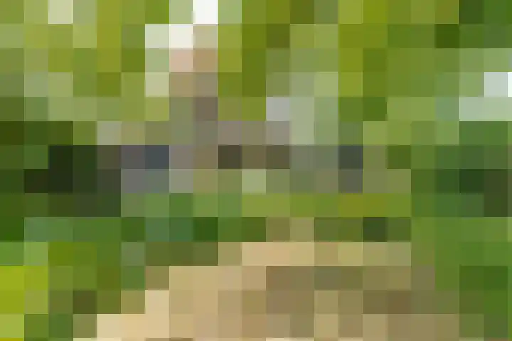 Hogestraat 34 Heerewaarden thumbnail 60