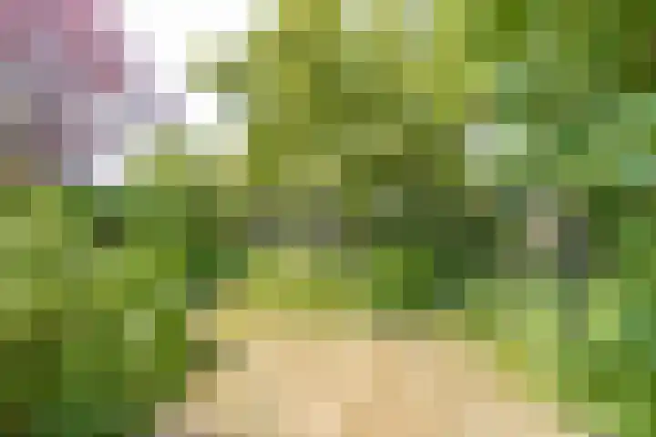 Hogestraat 34 Heerewaarden thumbnail 61