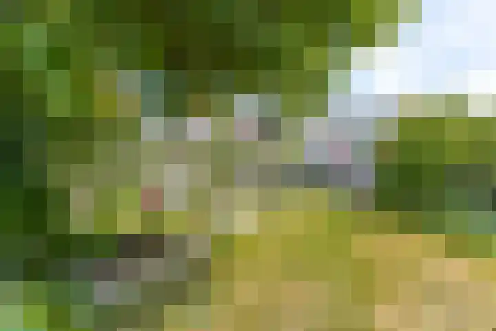 Hogestraat 34 Heerewaarden thumbnail 62