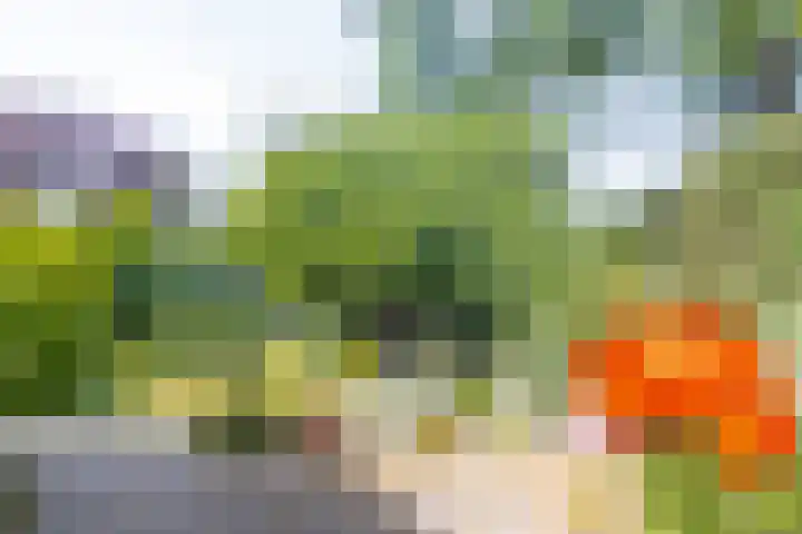 Hogestraat 34 Heerewaarden thumbnail 64