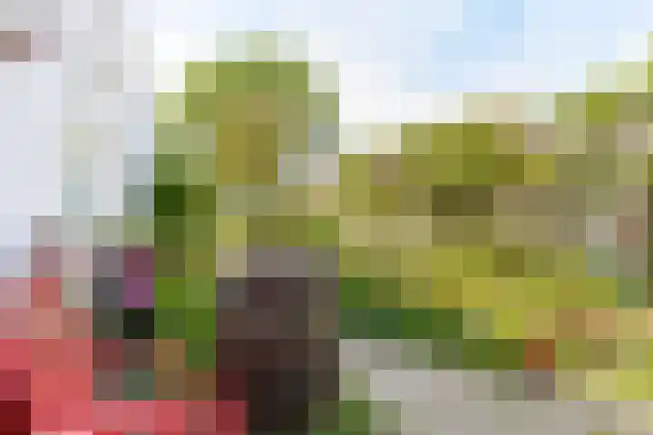 Hogestraat 34 Heerewaarden thumbnail 65
