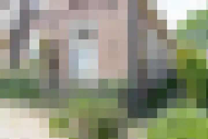 Hogestraat 34 Heerewaarden thumbnail 67