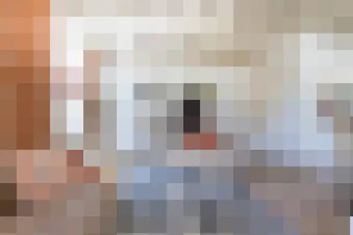 Hogestraat 34 Heerewaarden thumbnail 8