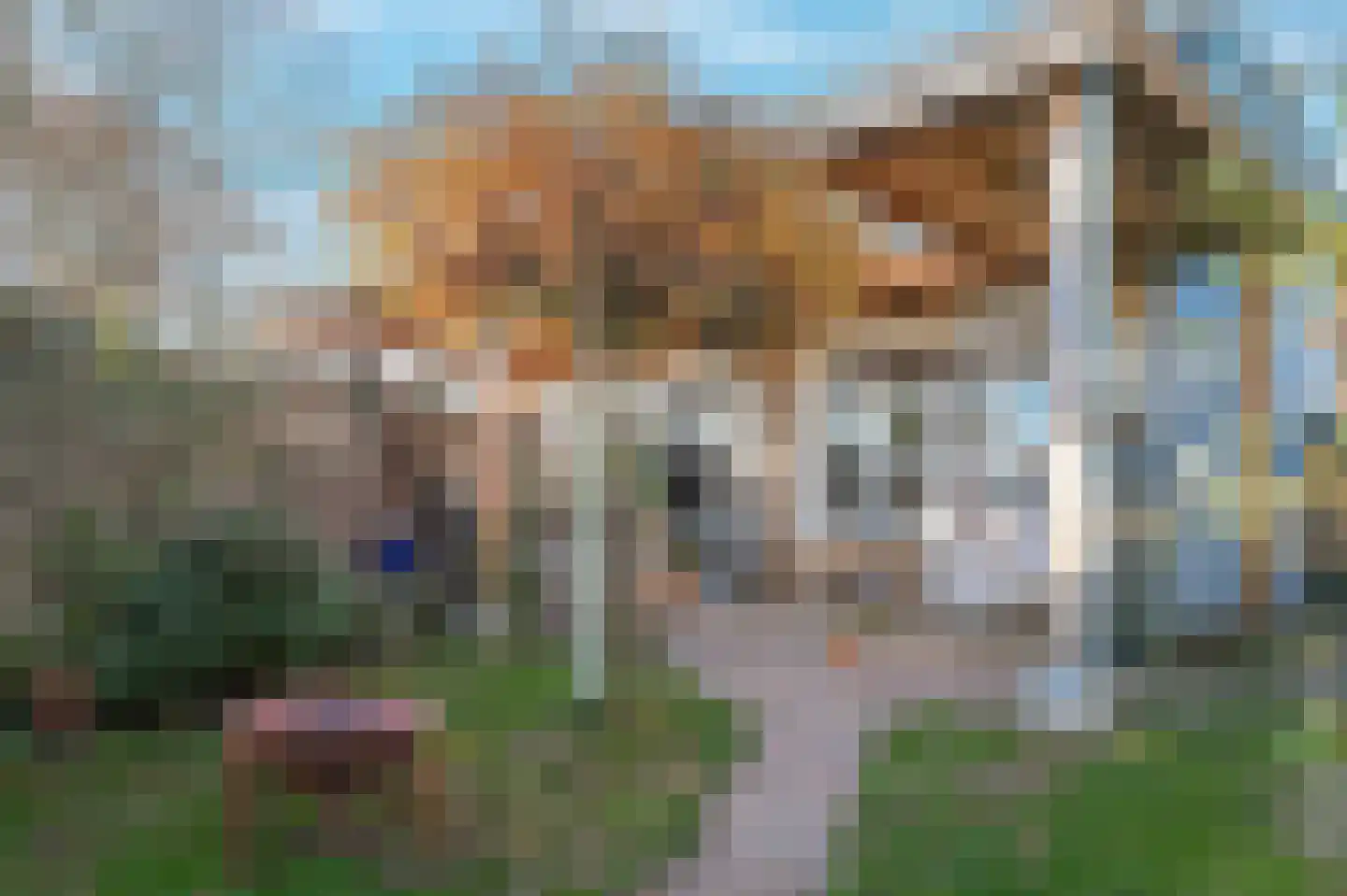 Hogestraat 35 Heerewaarden thumbnail 36