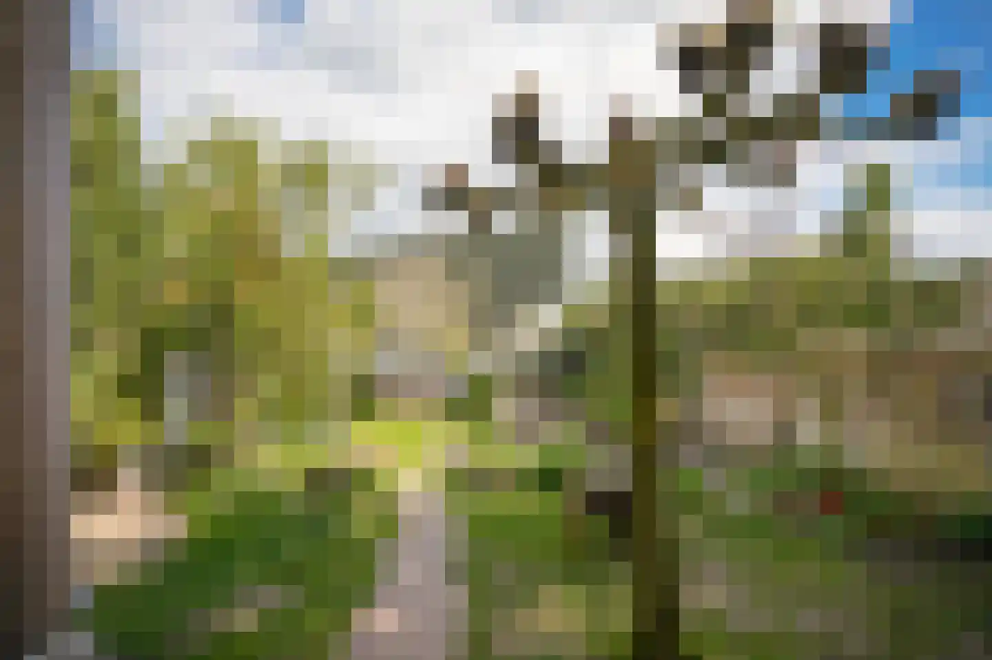 Hogestraat 35 Heerewaarden thumbnail 39