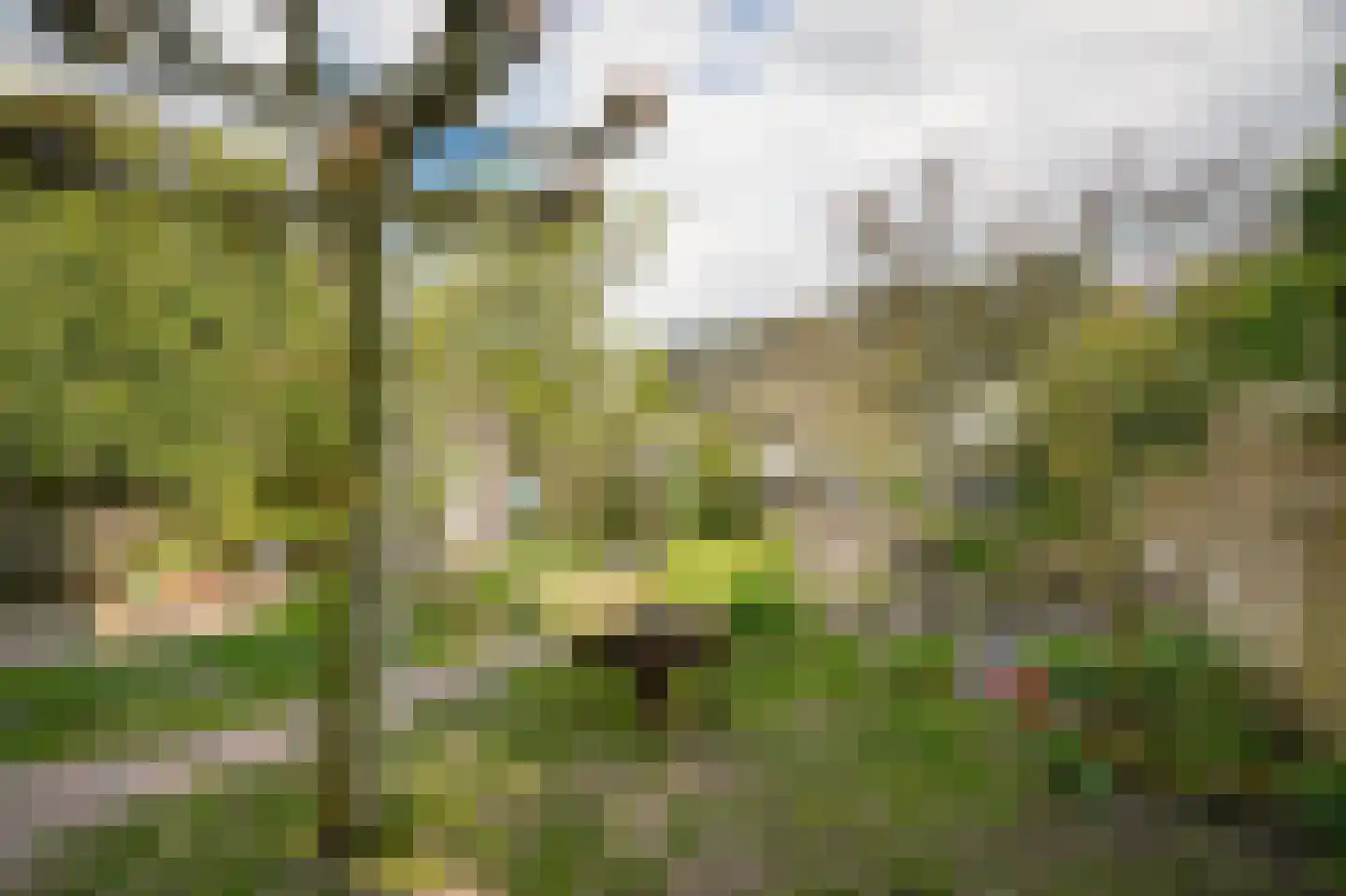 Hogestraat 35 Heerewaarden thumbnail 41