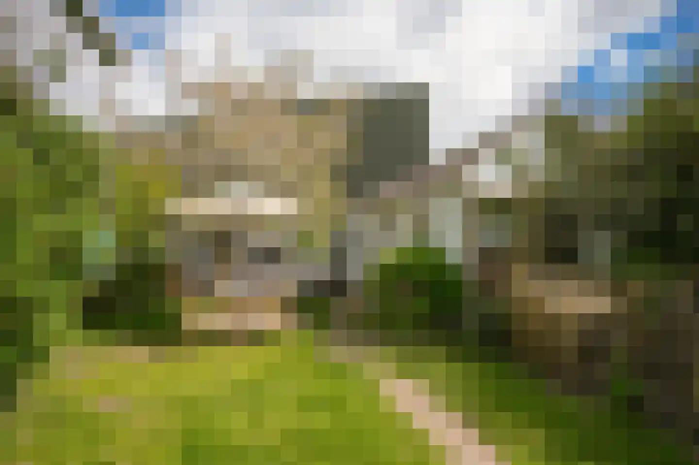Hogestraat 35 Heerewaarden thumbnail 47