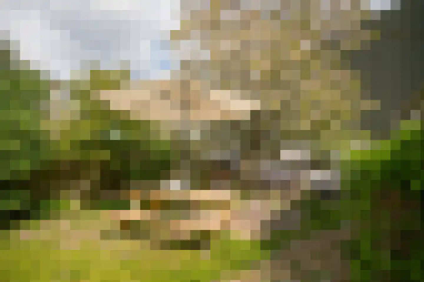 Hogestraat 35 Heerewaarden thumbnail 50