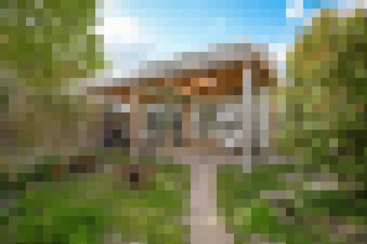 Hogestraat 35 Heerewaarden thumbnail 54